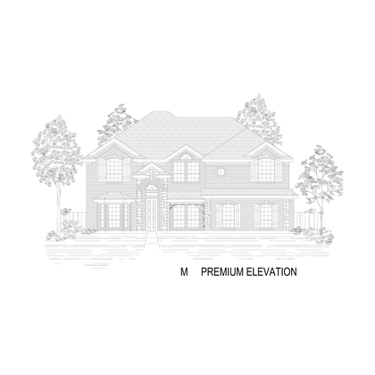 ElevationImage