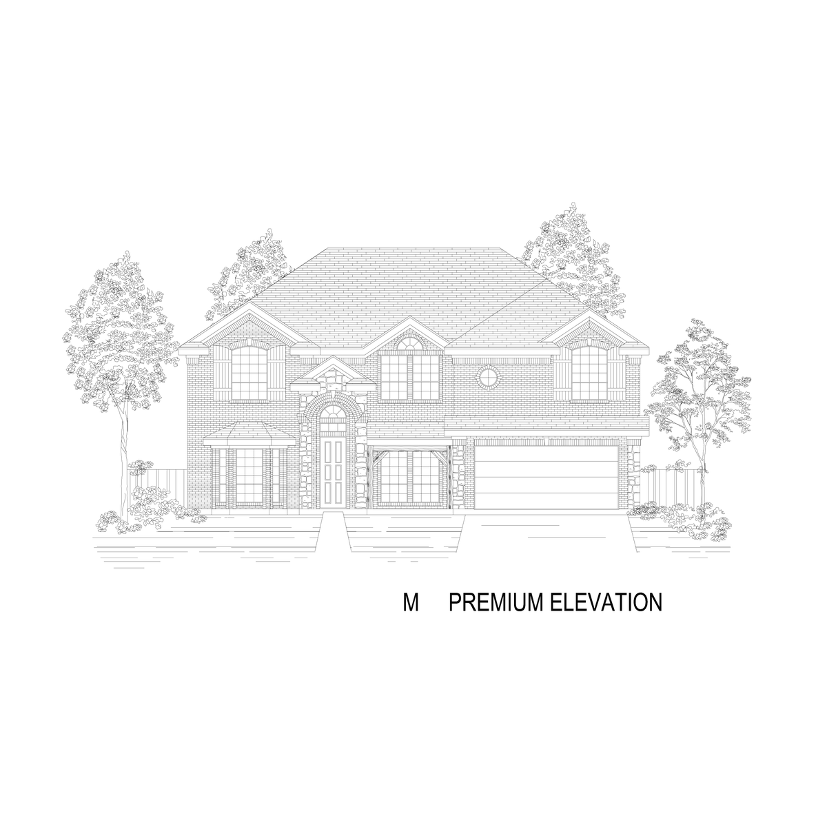 Premium Elevation M