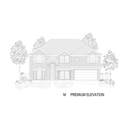Premium Elevation M