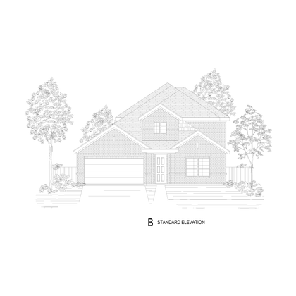 Elevation B