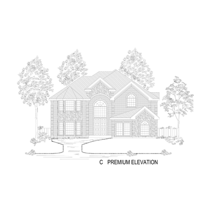 Elevation C
