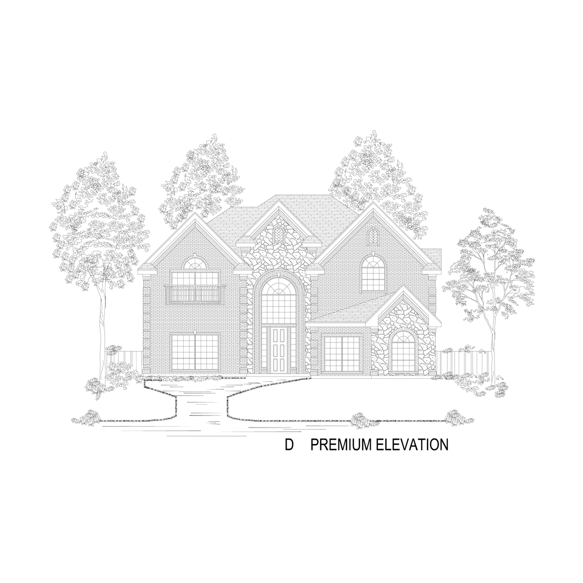 Elevation D