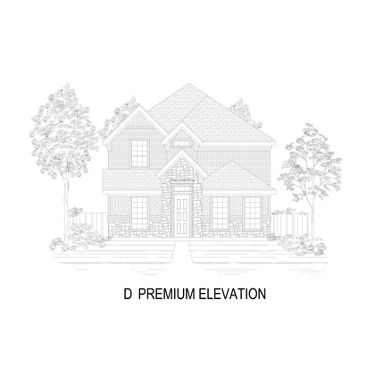 Elevation D