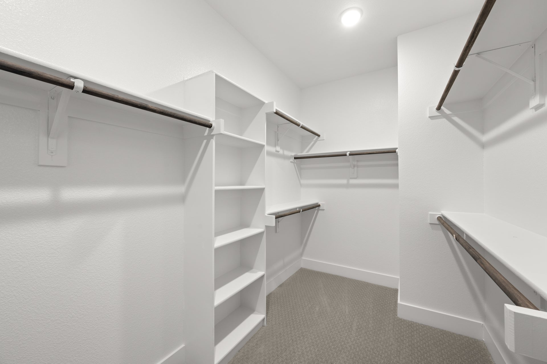 Primary • Suite