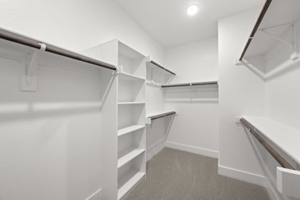 Primary • Suite