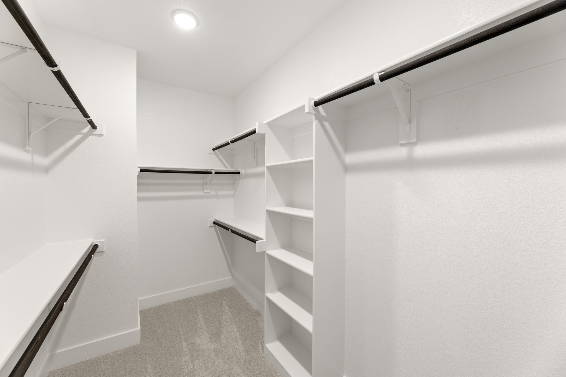 Primary • Suite