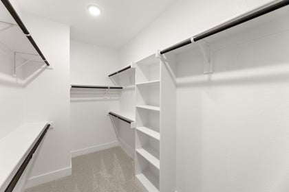 Primary • Suite