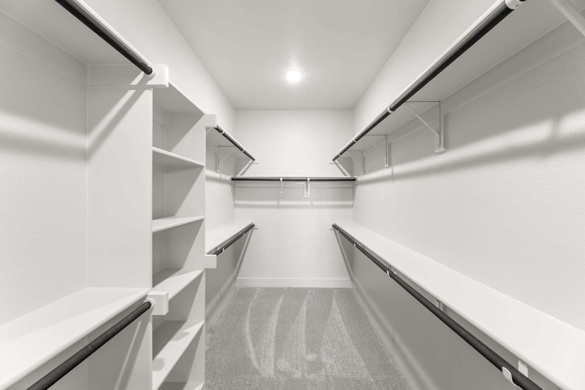 Primary • Suite