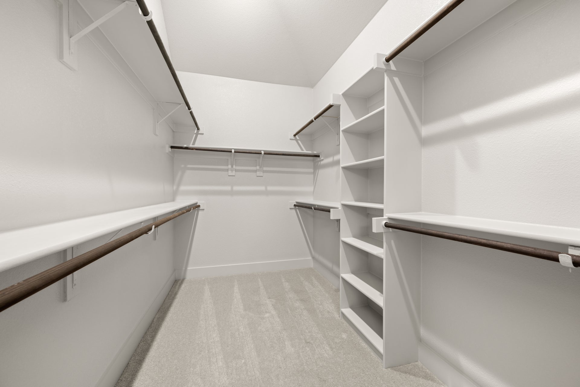 Primary • Suite