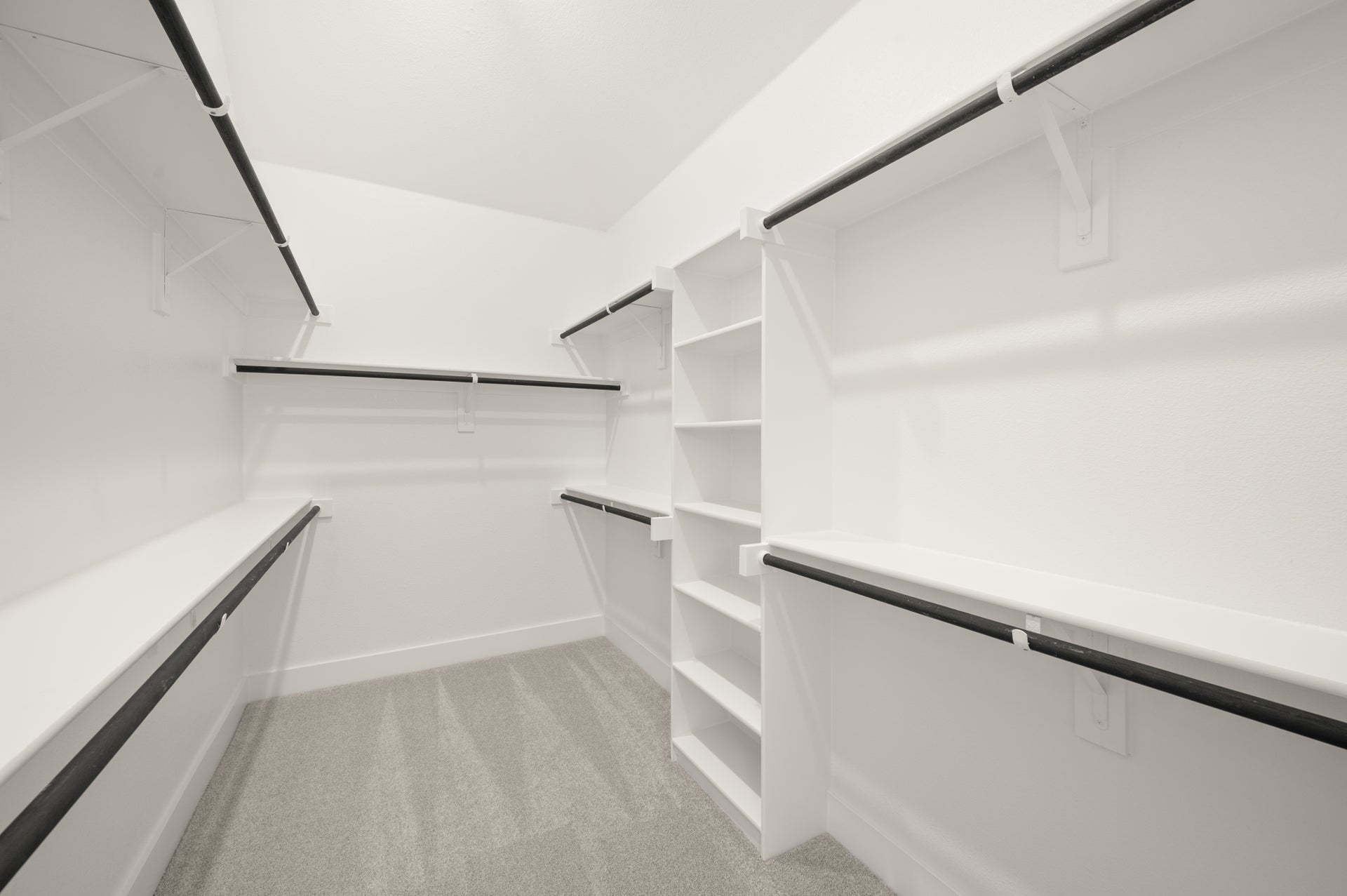 Primary • Suite
