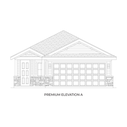 ElevationImage