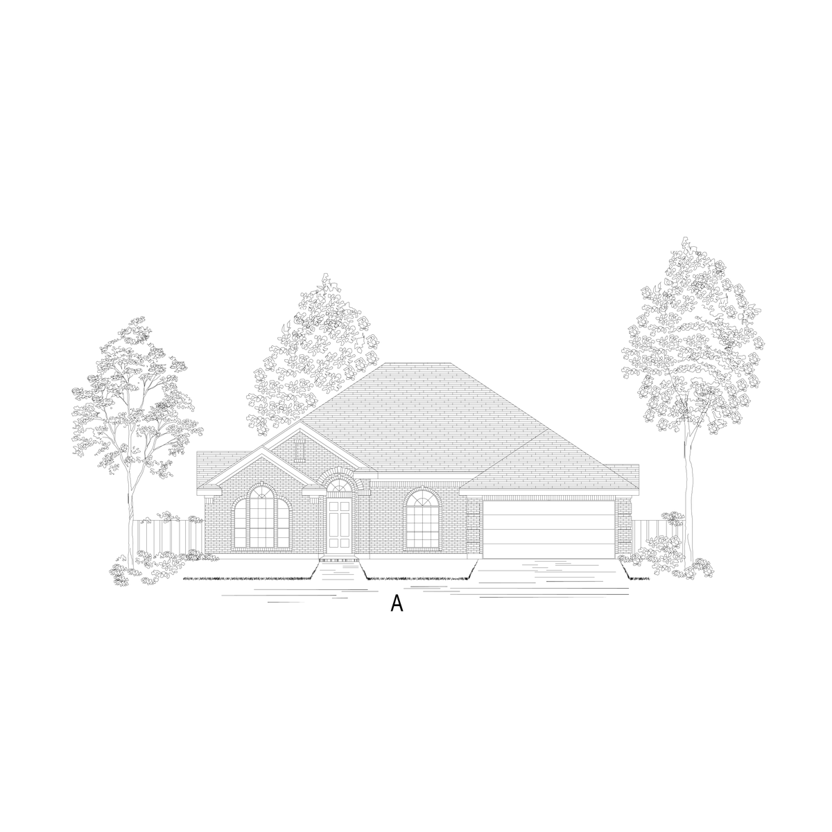 ElevationImage