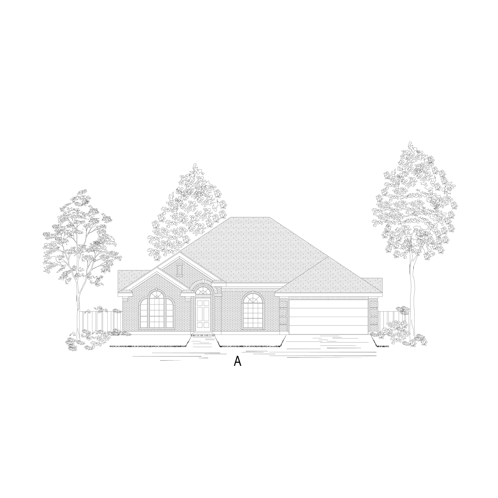 ElevationImage
