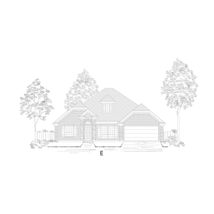 ElevationImage
