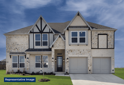 ElevationImage