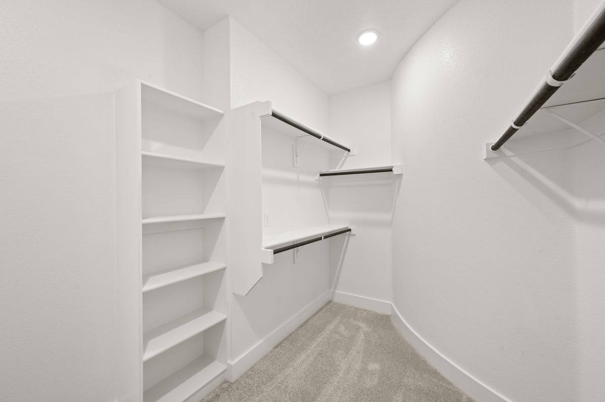 Primary • Suite