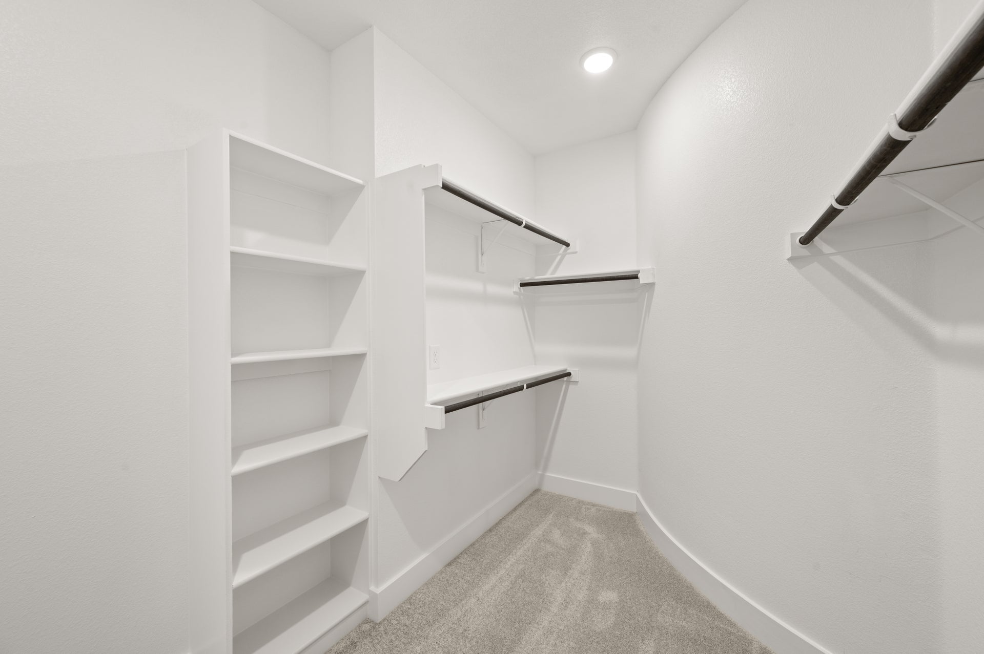 Primary • Suite