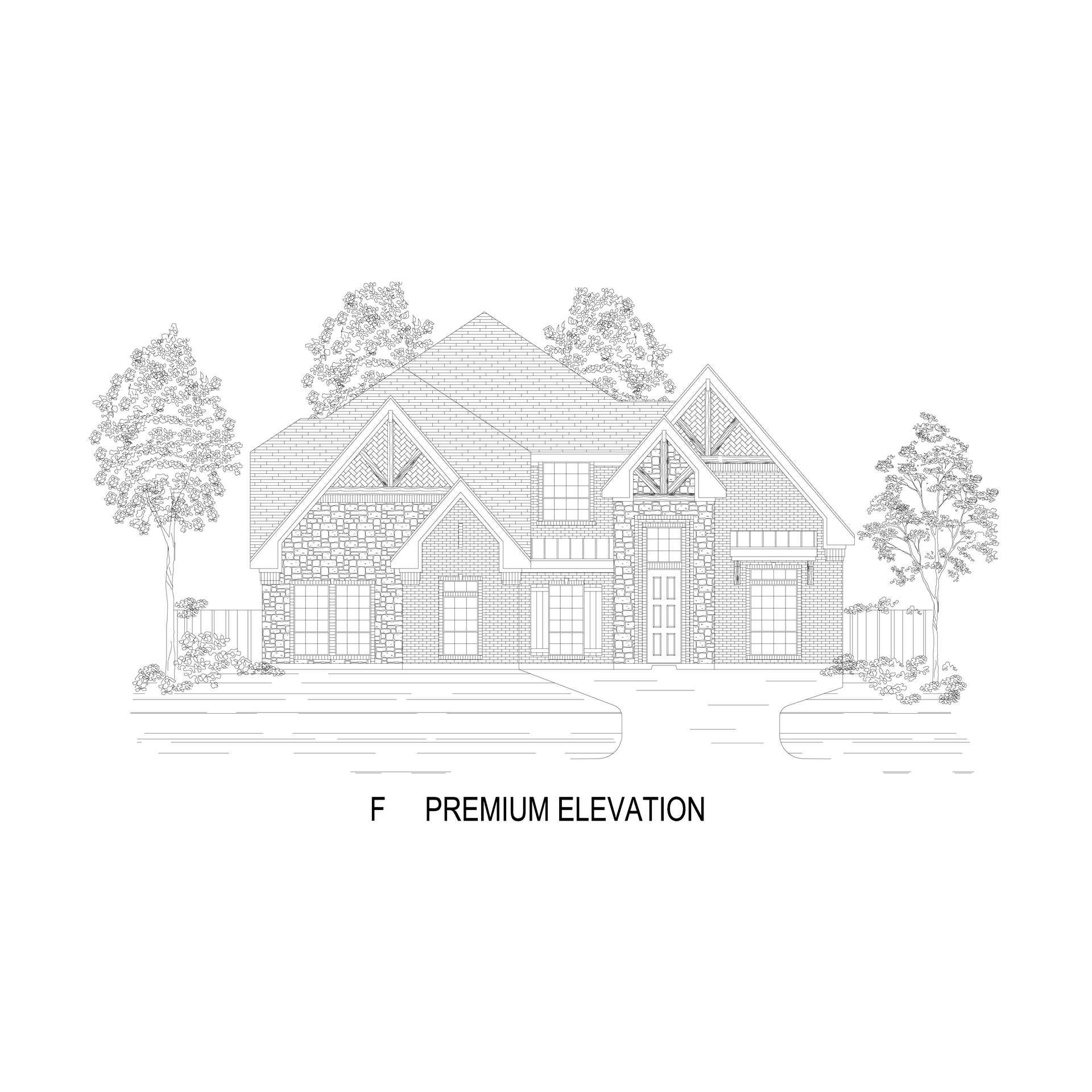 Elevation