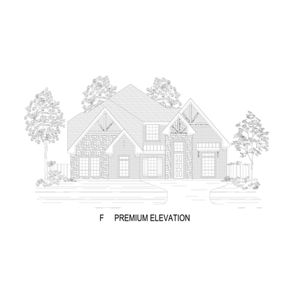 Elevation