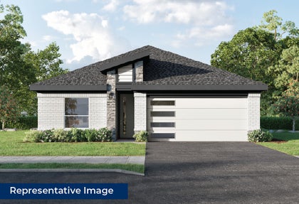 ElevationImage