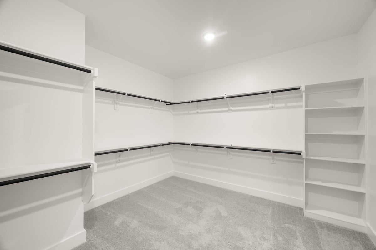 Primary • Suite