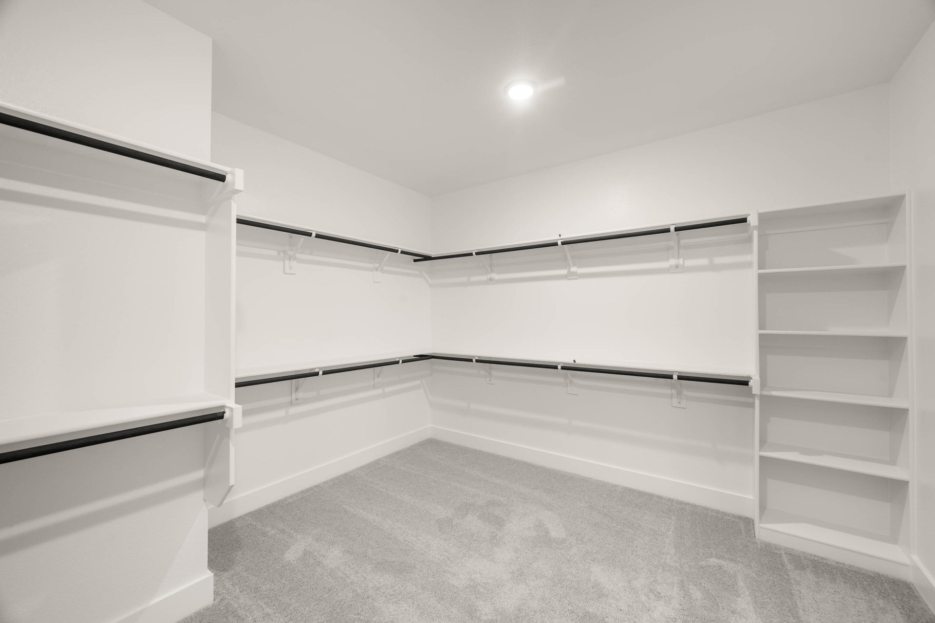 Primary • Suite