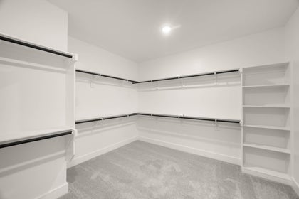 Primary • Suite