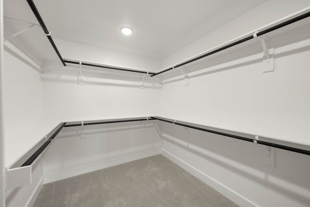 Primary • Suite