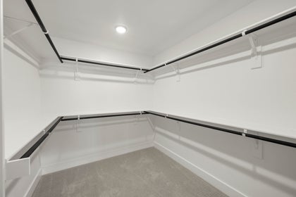Primary • Suite