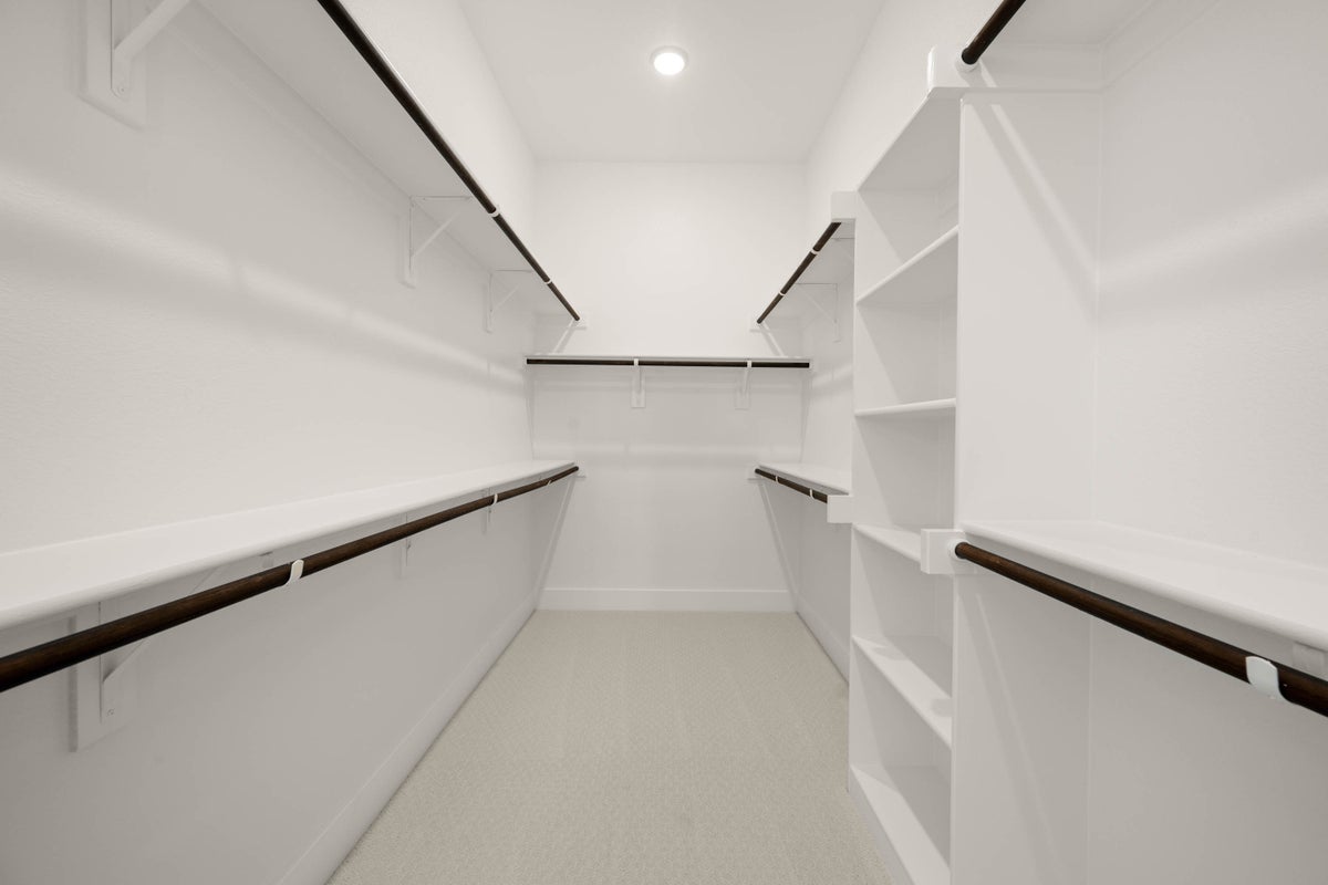 Primary • Suite