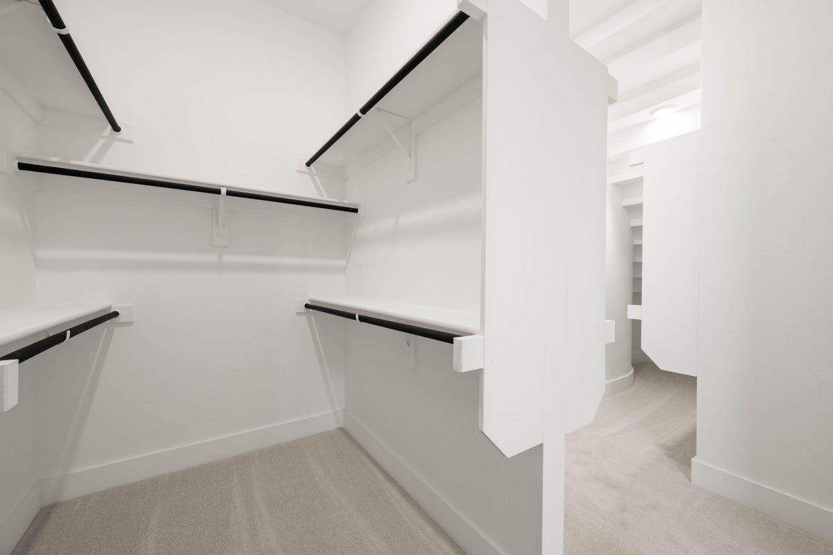 Primary • Suite