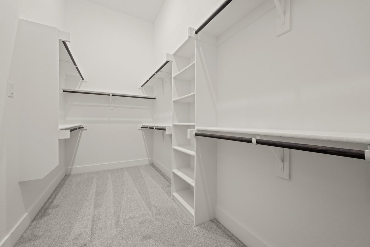Primary • Suite