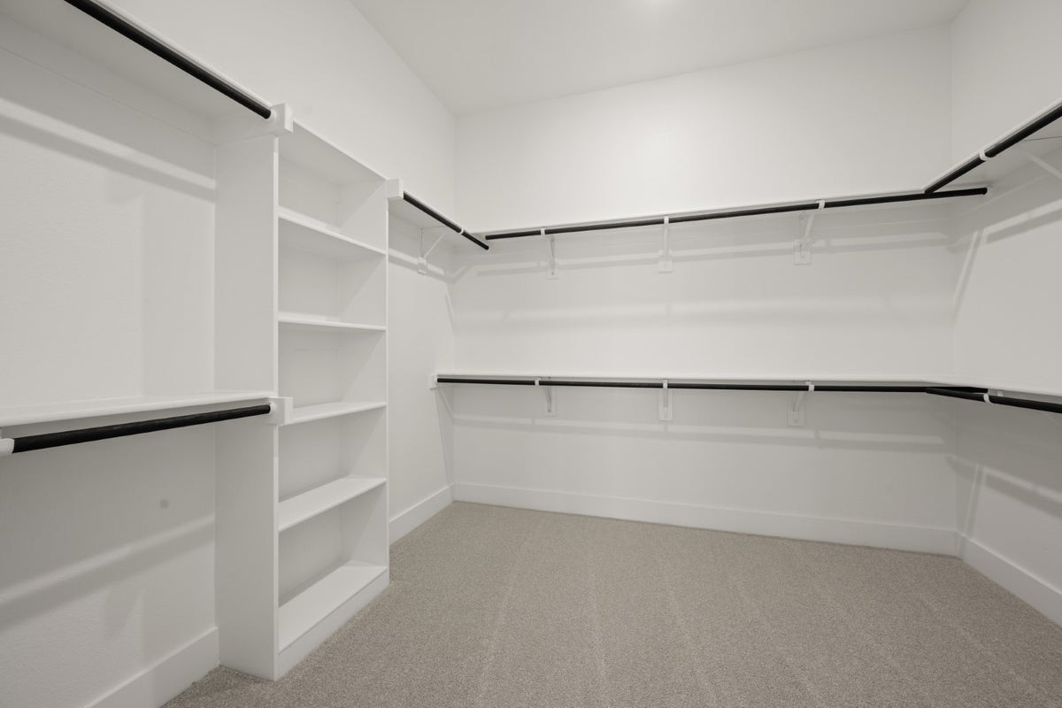 Primary • Suite