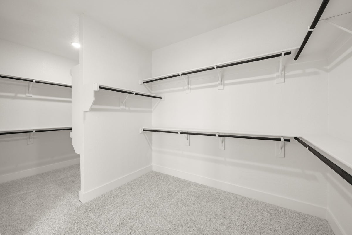 Primary • Suite