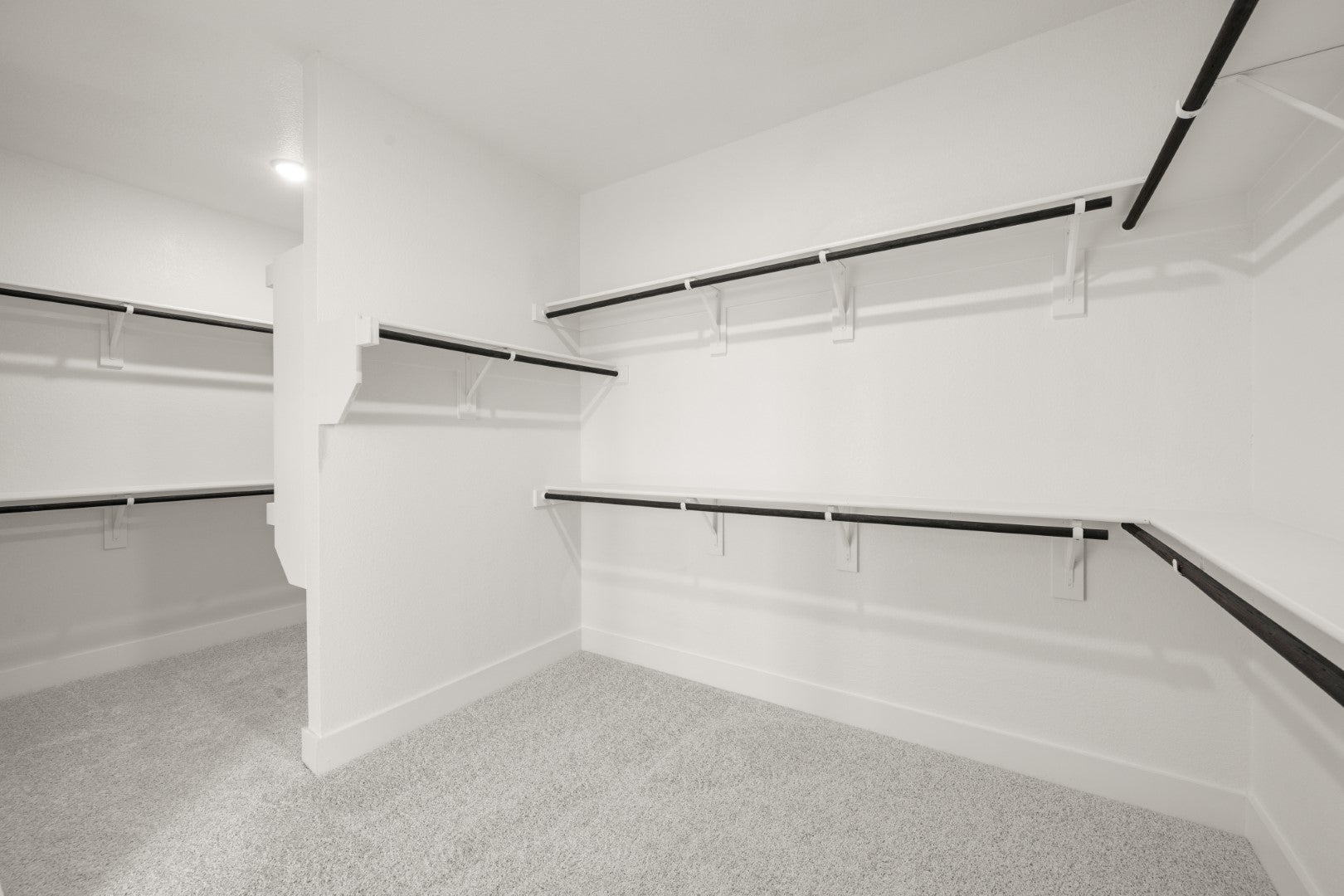 Primary • Suite