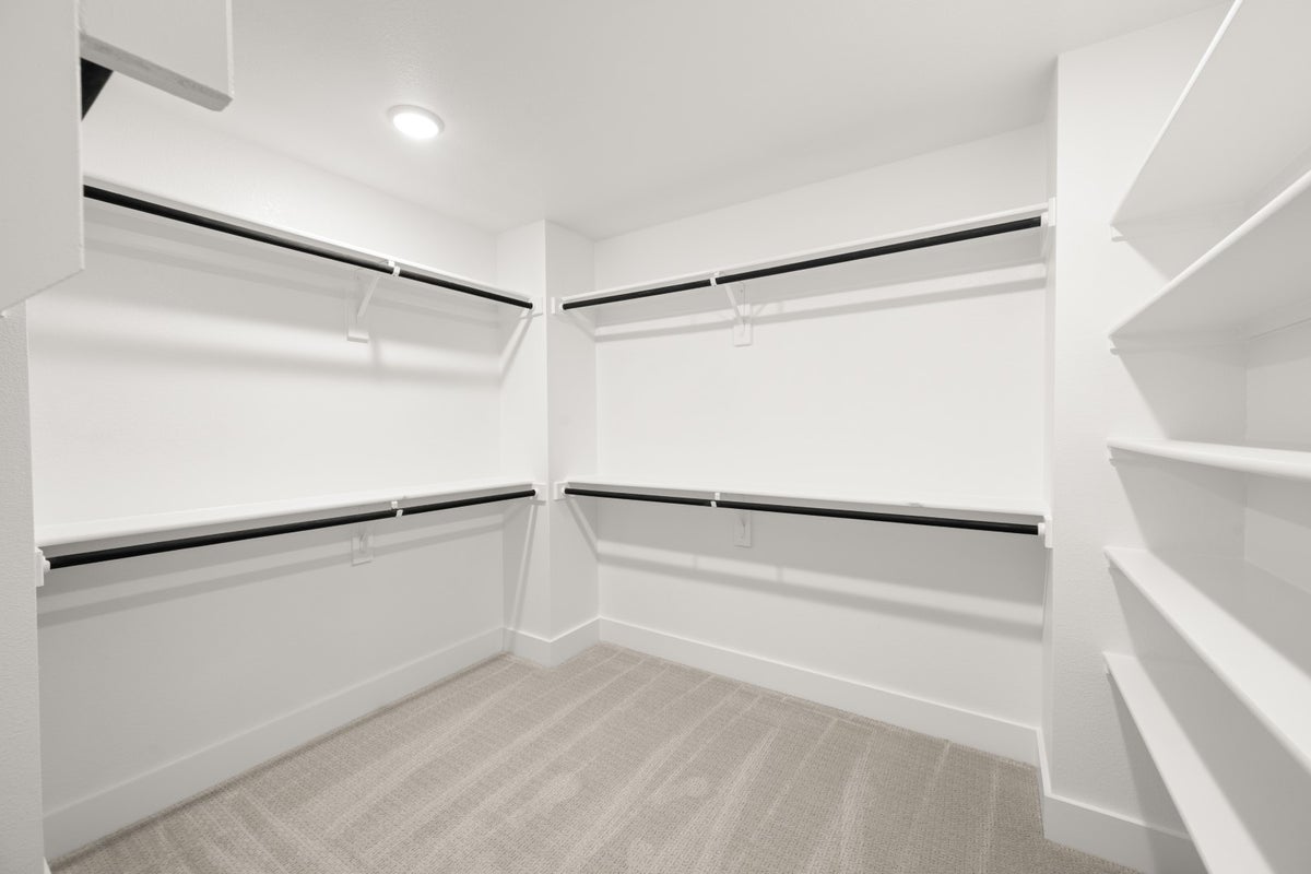 Primary • Suite