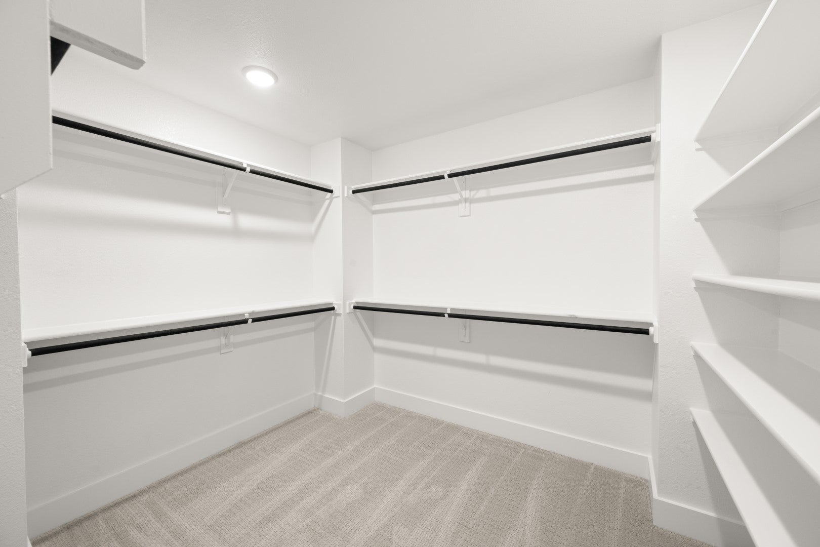 Primary • Suite