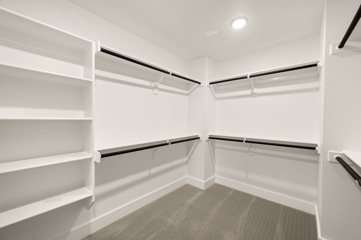 Primary • Suite