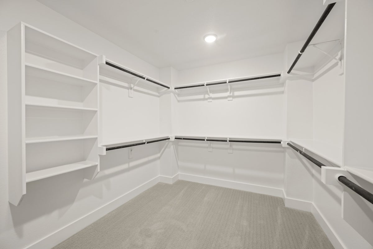 Primary • Suite
