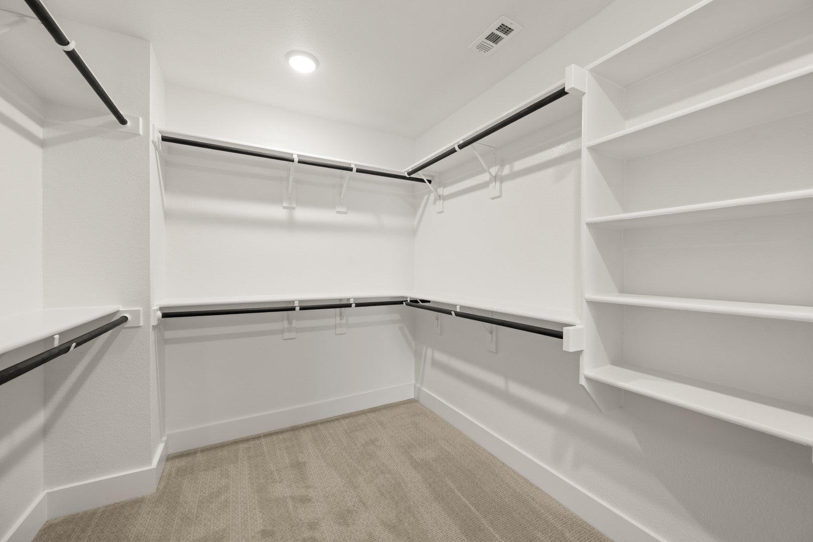 Primary • Suite