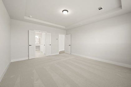 Primary • Suite