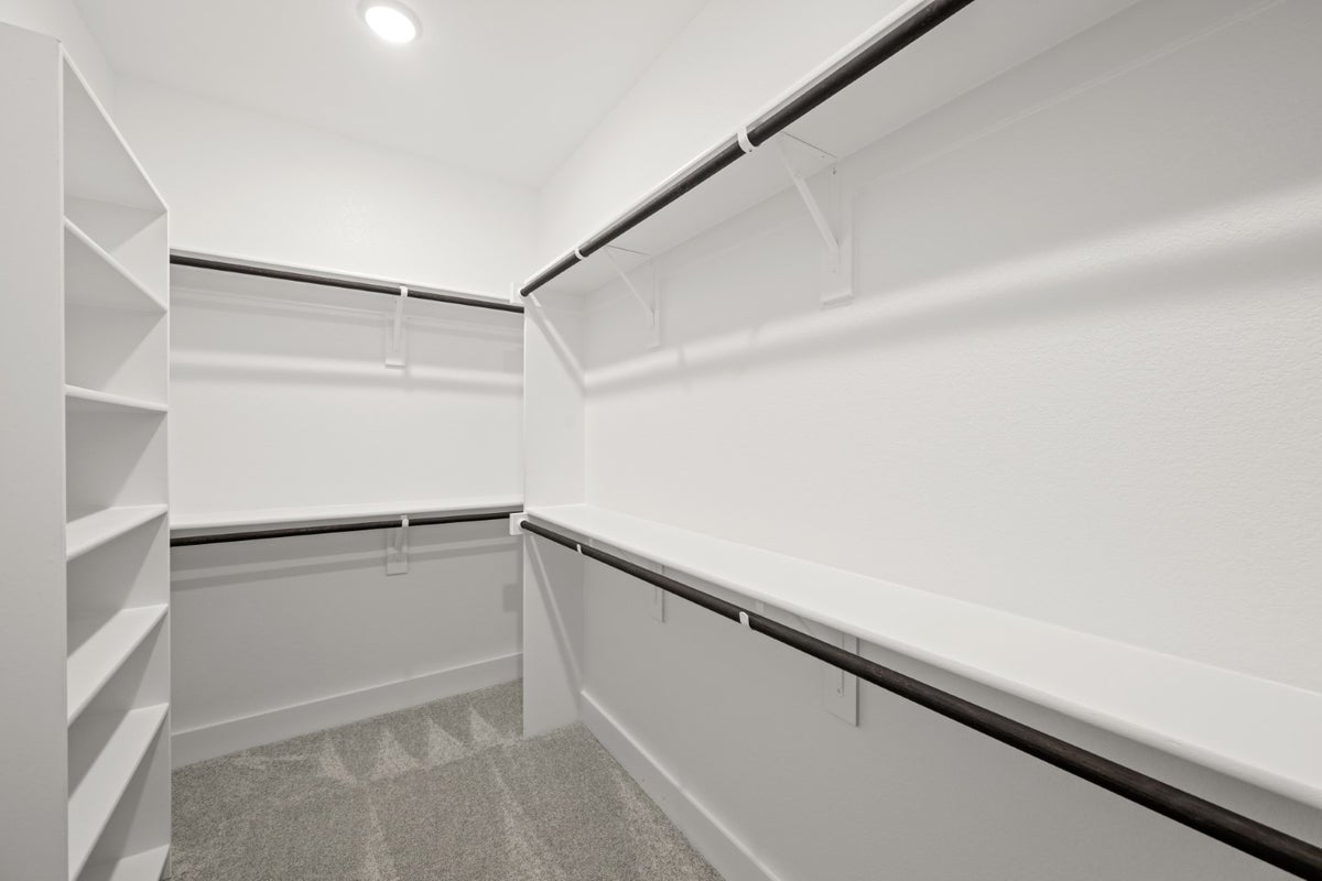 Primary • Suite