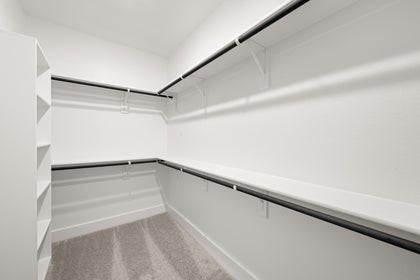 Primary • Suite