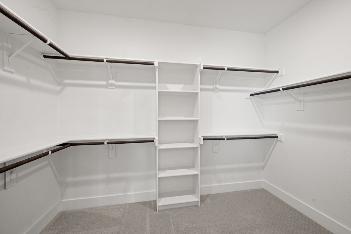 Primary • Suite