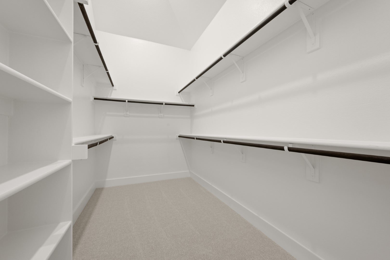 Primary • Suite