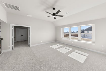 Collinsbrook Farm - Photo 21